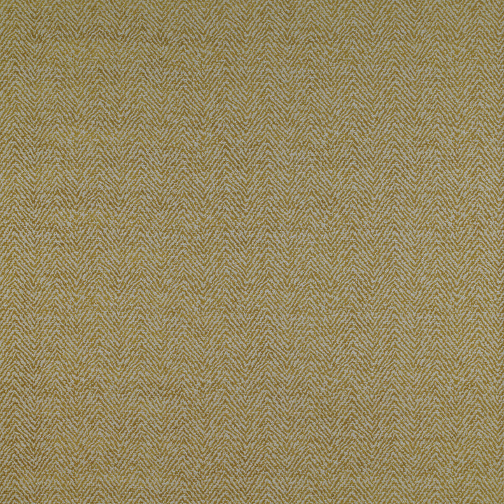 Santa Ana Lima by Gaston Y Daniela Fabric MADRID POLYESTER - 43%;VISCOSE - 30%;COTTON - 27% Turkey HEAVY Horizontal: 13.8 and Vertical: 6.2 55 - Fabric Carolina -