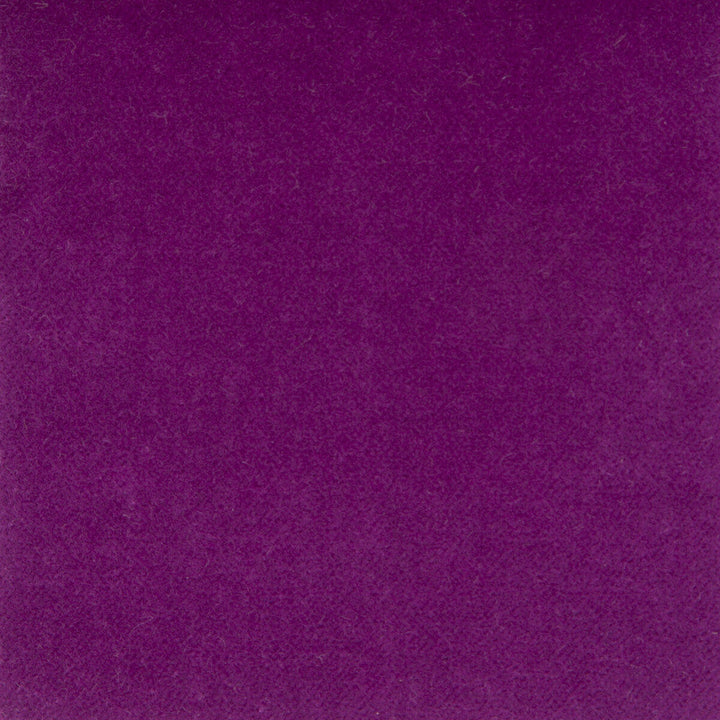 Venecia Berenjena by Gaston Y Daniela Designer Fabric BASICS COTTON - 86%;MODACRYLIC - 14% Czech Republic HEAVY Horizontal: 0 and Vertical: 0 55 - Swanky Fabrics -