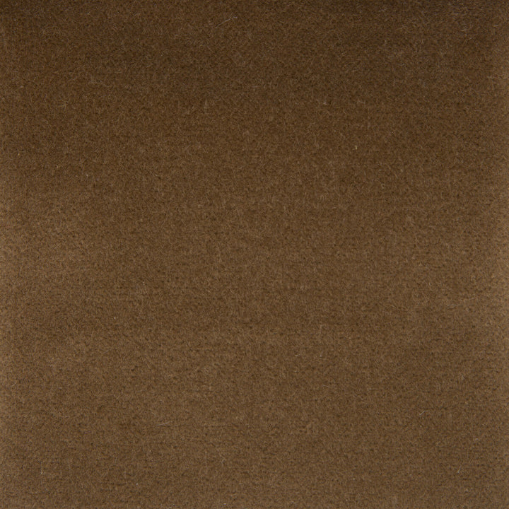 Venecia Camel by Gaston Y Daniela Fabric Gaston Y Daniela Fabric Venecia CamelFabric BASICS COTTON - 86%;MODACRYLIC - 14% Czech Republic </p><p>Repeat: H: 0, V: 0 55 - Fabric Carolina -