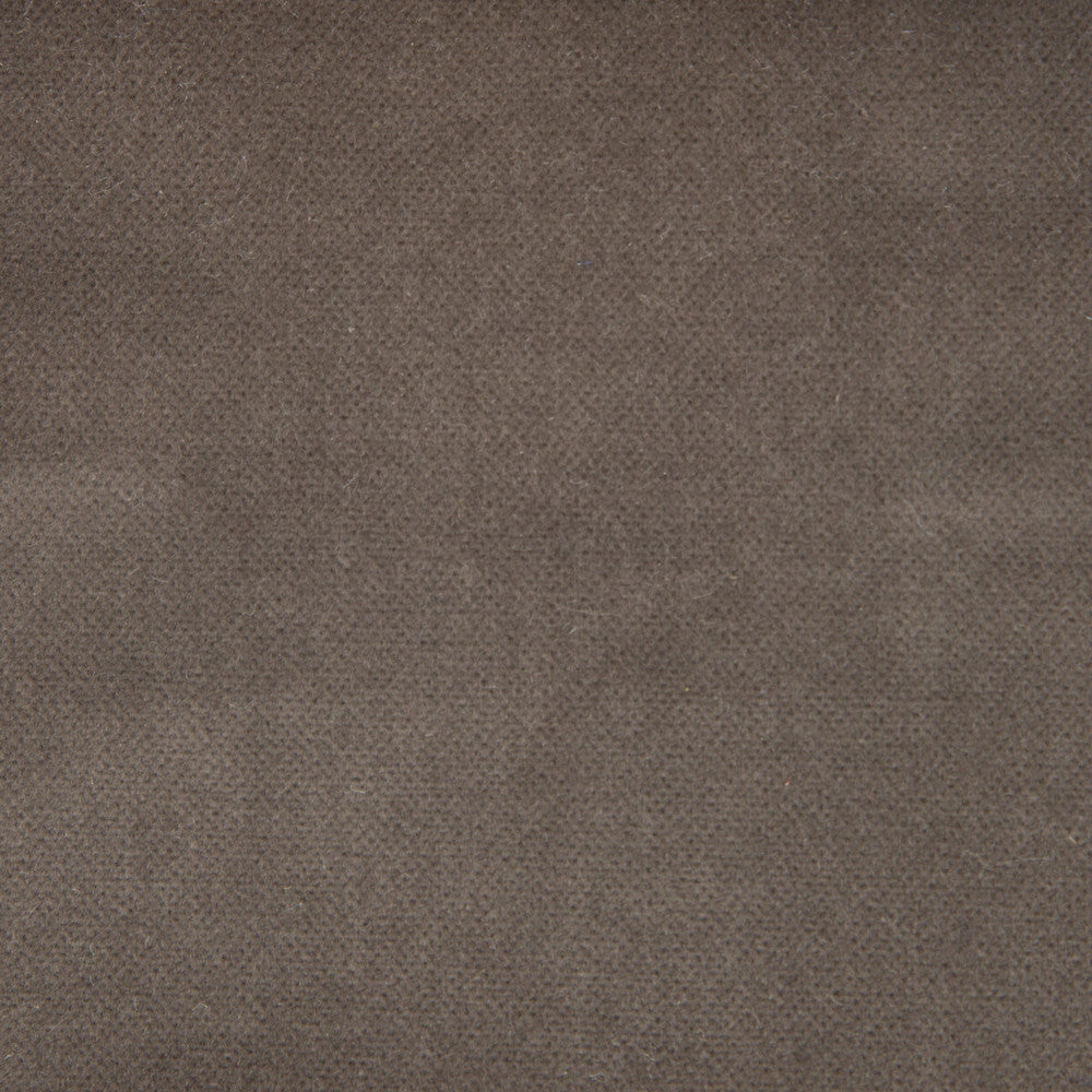 Venecia Topo by Gaston Y Daniela Fabric BASICS COTTON - 86%;MODACRYLIC - 14% Czech Republic HEAVY Horizontal: 0 and Vertical: 0 55 - Fabric Carolina -
