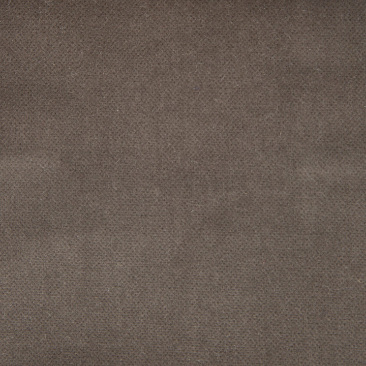Venecia Topo by Gaston Y Daniela Fabric BASICS COTTON - 86%;MODACRYLIC - 14% Czech Republic HEAVY Horizontal: 0 and Vertical: 0 55 - Fabric Carolina -