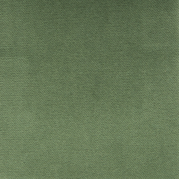 Venecia Verde by Gaston Y Daniela Designer Fabric BASICS COTTON - 86%;MODACRYLIC - 14% Czech Republic HEAVY Horizontal: 0 and Vertical: 0 55 - Swanky Fabrics -