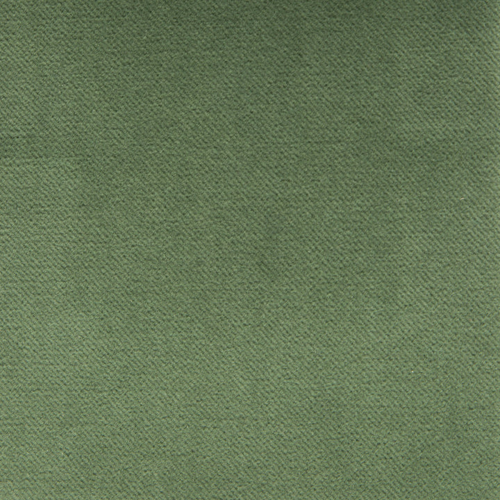 Venecia Verde by Gaston Y Daniela Fabric BASICS COTTON - 86%;MODACRYLIC - 14% Czech Republic HEAVY Horizontal: 0 and Vertical: 0 55 - Fabric Carolina -