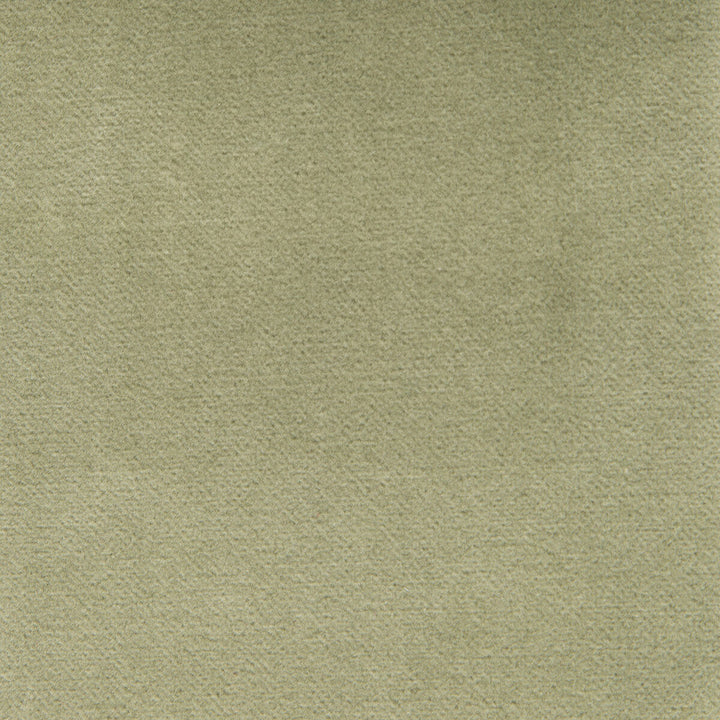 Venecia Verde Claro by Gaston Y Daniela Fabric Gaston Y Daniela Fabric Venecia Verde ClaroFabric BASICS COTTON - 86%;MODACRYLIC - 14% Czech Republic </p><p>Repeat: H: 0, V: 0 55 - Fabric Carolina -