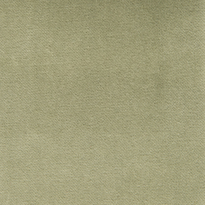 Venecia Verde Claro by Gaston Y Daniela Fabric Gaston Y Daniela Fabric Venecia Verde ClaroFabric BASICS COTTON - 86%;MODACRYLIC - 14% Czech Republic </p><p>Repeat: H: 0, V: 0 55 - Fabric Carolina -