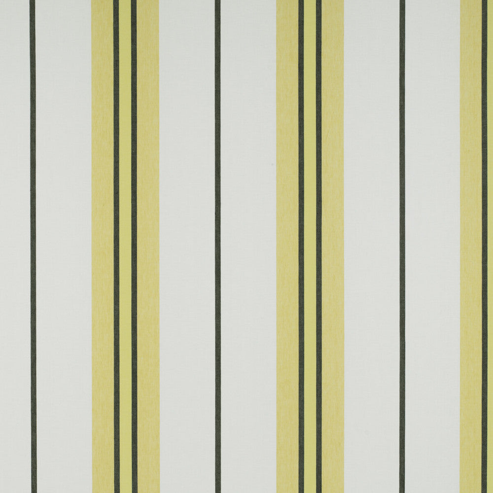 Burano Onyx/Amarillo by Gaston Y Daniela Fabric Gaston Y Daniela Fabric Burano Onyx/AmarilloFabric TIERRAS LINEN - 94%;POLYESTER - 6% Turkey </p><p>Repeat: H: 19.48, V: 0 118 - Fabric Carolina -