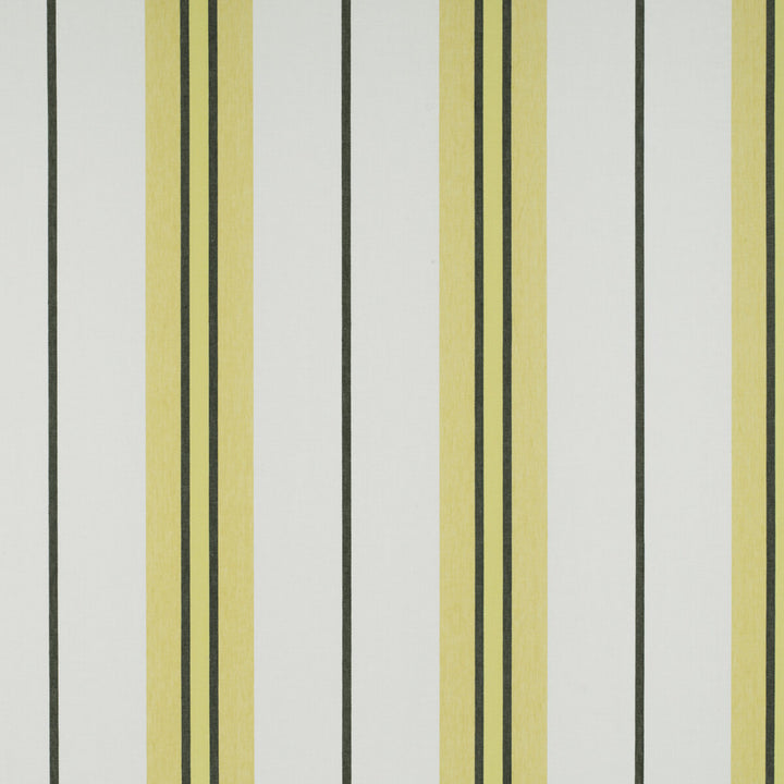 Burano Onyx/Amarillo by Gaston Y Daniela Fabric TIERRAS LINEN - 94%;POLYESTER - 6% Turkey - Horizontal: 19.48 and Vertical: 0 118 - Fabric Carolina -