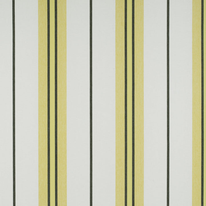 Burano Onyx/Amarillo by Gaston Y Daniela Designer Fabric TIERRAS LINEN - 94%;POLYESTER - 6% Turkey Horizontal: 19.48 and Vertical: 0 118 - Swanky Fabrics -