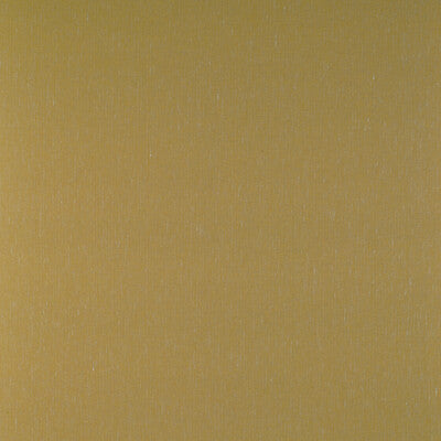 GDT5318.018.0 by Gaston Y Daniela Fabric Gaston Y Daniela Fabric GDT5318.018.0Fabric TIERRAS COTTON - 45%;VISCOSE - 27%;ACRYLIC - 14%;LINEN - 7%;POLYAMIDE - 7% Italy </p><p>Repeat: H: 0.01, V: 0.01 55 - Fabric Carolina -