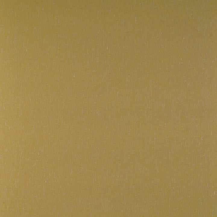 Kf Gyd:: by Gaston Y Daniela Fabric TIERRAS COTTON - 45%;VISCOSE - 27%;ACRYLIC - 14%;LINEN - 7%;POLYAMIDE - 7% Italy HEAVY Horizontal: 0.01 and Vertical: 0.01 55 - Fabric Carolina -