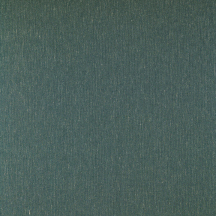 Kf Gyd:: by Gaston Y Daniela Fabric TIERRAS COTTON - 45%;VISCOSE - 27%;ACRYLIC - 14%;LINEN - 7%;POLYAMIDE - 7% Italy HEAVY Horizontal: 0.01 and Vertical: 0.01 55 - Fabric Carolina -
