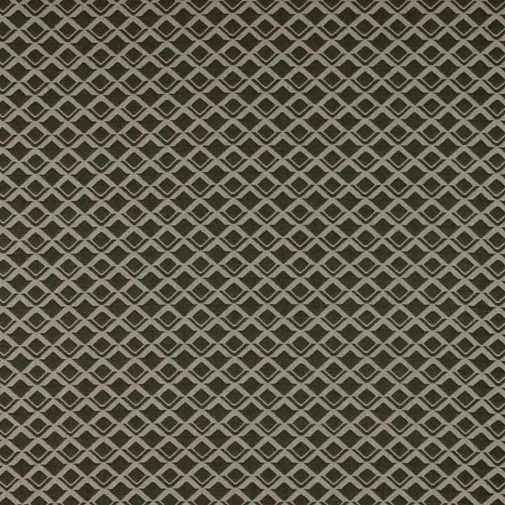 Lodi Onyx by Gaston Y Daniela Fabric TIERRAS COTTON - 40%;VISCOSE - 30%;ACRYLIC - 10%;LINEN - 10%;POLYESTER - 10% Italy HEAVY Horizontal: 7.09 and Vertical: 5.51 55 - Fabric Carolina -