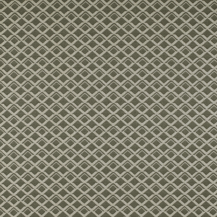 Lodi Gris by Gaston Y Daniela Fabric TIERRAS COTTON - 40%;VISCOSE - 30%;ACRYLIC - 10%;LINEN - 10%;POLYESTER - 10% Italy HEAVY Horizontal: 7.09 and Vertical: 5.51 55 - Fabric Carolina -