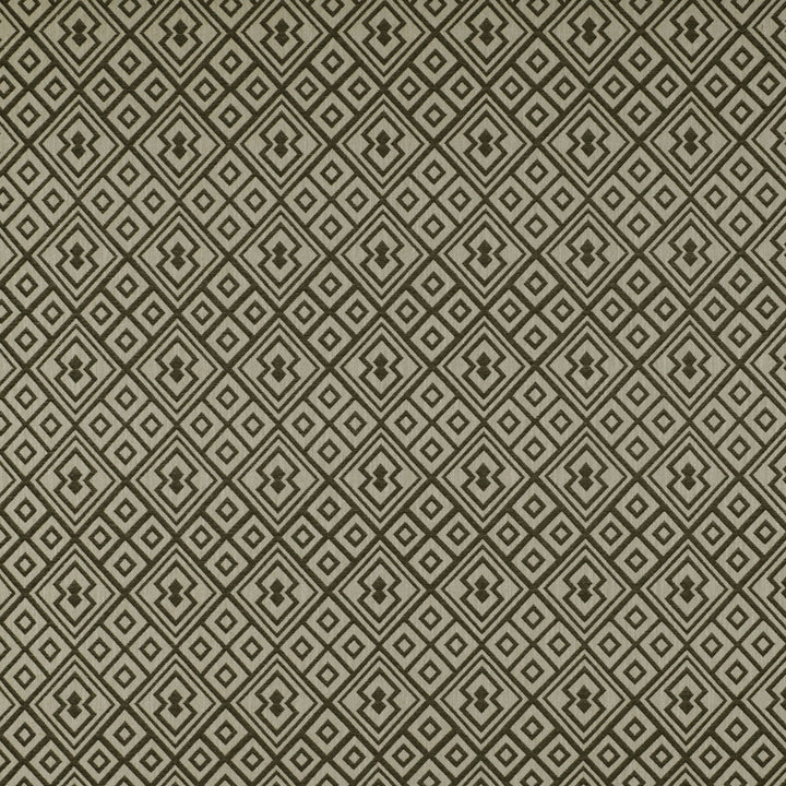 Bergamo Onyx by Gaston Y Daniela Fabric TIERRAS COTTON - 40%;VISCOSE - 30%;ACRYLIC - 10%;LINEN - 10%;POLYESTER - 10% Italy HEAVY Horizontal: 7.09 and Vertical: 7.87 55 - Fabric Carolina -