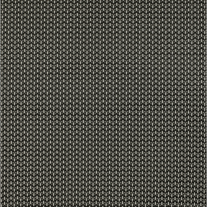 Viareggio Blanco/Onyx by Gaston Y Daniela Fabric TIERRAS VISCOSE - 59.1%;POLYESTER - 23.3%;COTTON - 17.6% Belgium HEAVY Horizontal: 1.73 and Vertical: 1.3 55 - Fabric Carolina -