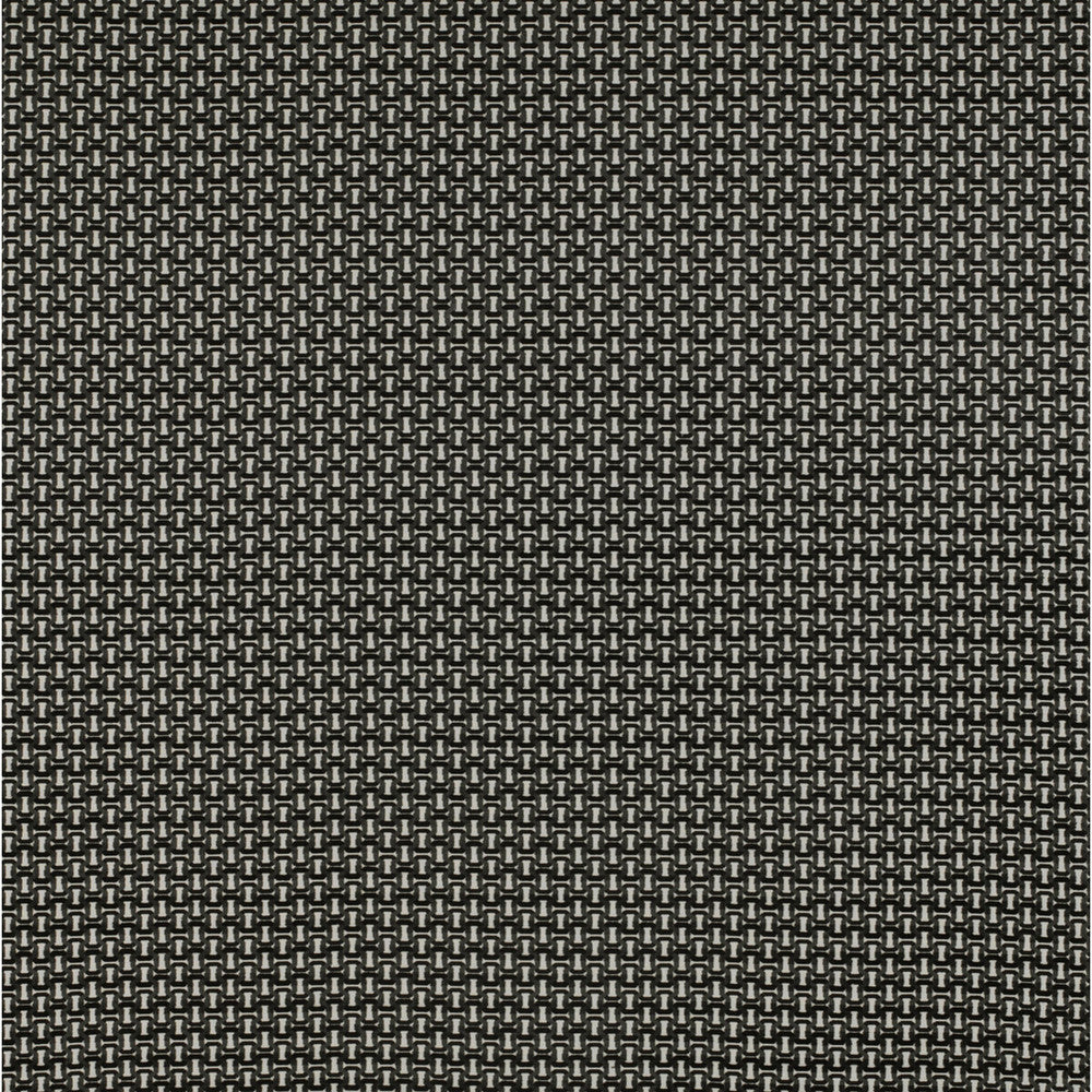 Viareggio Blanco/Onyx by Gaston Y Daniela Fabric TIERRAS VISCOSE - 59.1%;POLYESTER - 23.3%;COTTON - 17.6% Belgium HEAVY Horizontal: 1.73 and Vertical: 1.3 55 - Fabric Carolina -
