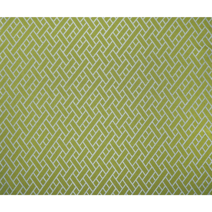 Nairobi Verde by Gaston Y Daniela Fabric GASTON AFRICALIA VISCOSE - 46%;LINEN - 22%;COTTON - 21%;POLYESTER - 11% Italy HEAVY Horizontal: 13.78 and Vertical: 55.12 55 - Fabric Carolina -