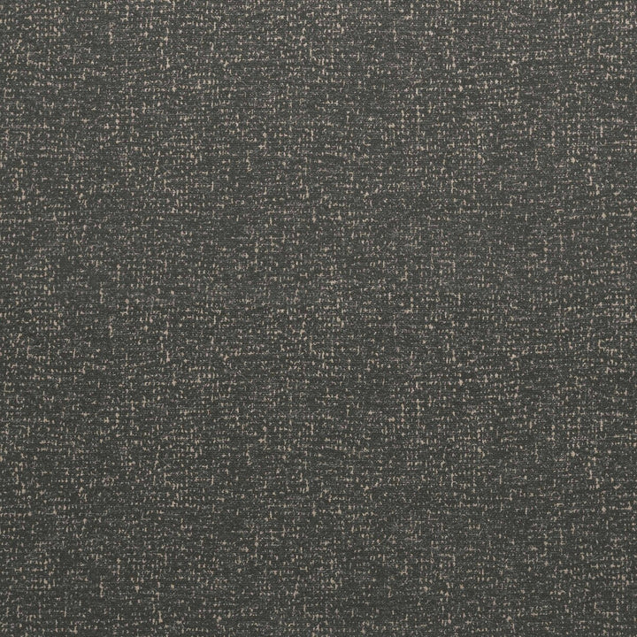 Lualaba Gris Claro by Gaston Y Daniela Fabric GASTON AFRICALIA WOOL - 40%;VISCOSE - 30%;COTTON - 15%;ACRYLIC - 5%;LINEN - 5%;POLYESTER - 5% Italy HEAVY Horizontal: 0 and Vertical: 0 55 - Fabric Carolina -