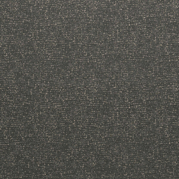 Lualaba Gris Claro by Gaston Y Daniela Designer Fabric GASTON AFRICALIA WOOL - 40%;VISCOSE - 30%;COTTON - 15%;ACRYLIC - 5%;LINEN - 5%;POLYESTER - 5% Italy HEAVY Horizontal: 0 and Vertical: 0 55 - Swanky Fabrics -