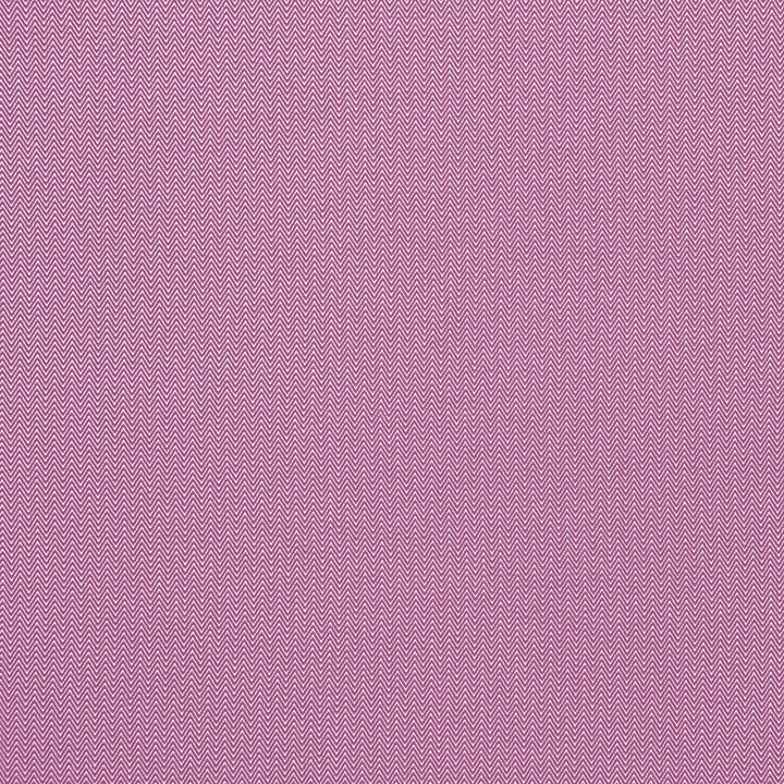 Donald Frambuesa by Gaston Y Daniela Fabric Gaston Y Daniela Fabric Donald FrambuesaFabric GASTON AFRICALIA POLYPROPYLENE - 100% Belgium </p><p>Repeat: H: 0.24, V: 0.67 61 - Fabric Carolina -
