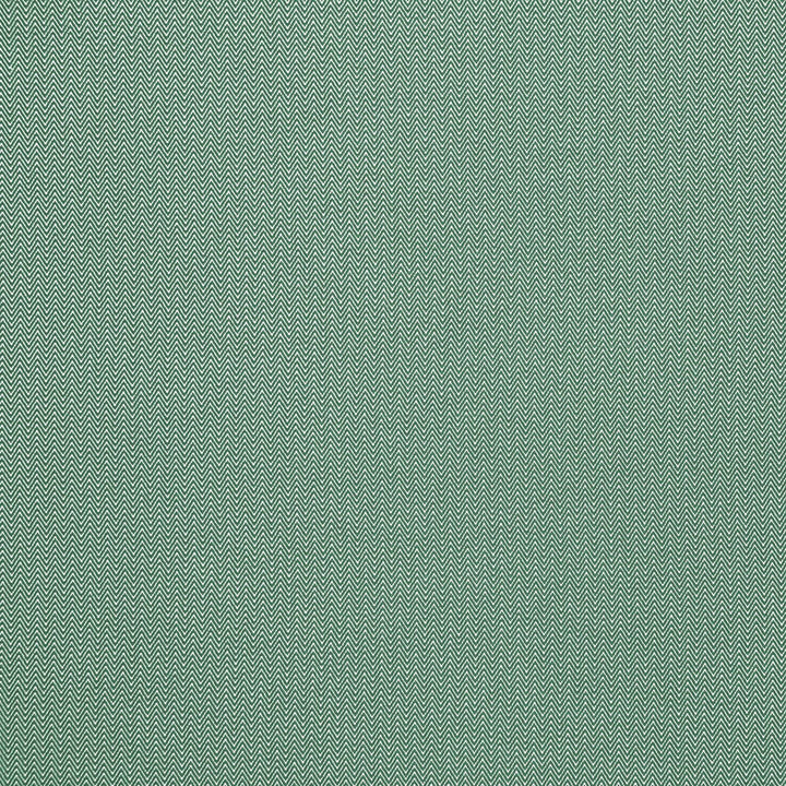 Donald Verde by Gaston Y Daniela Fabric GASTON AFRICALIA POLYPROPYLENE - 100% Belgium HEAVY Horizontal: 0.24 and Vertical: 0.67 61 - Fabric Carolina -