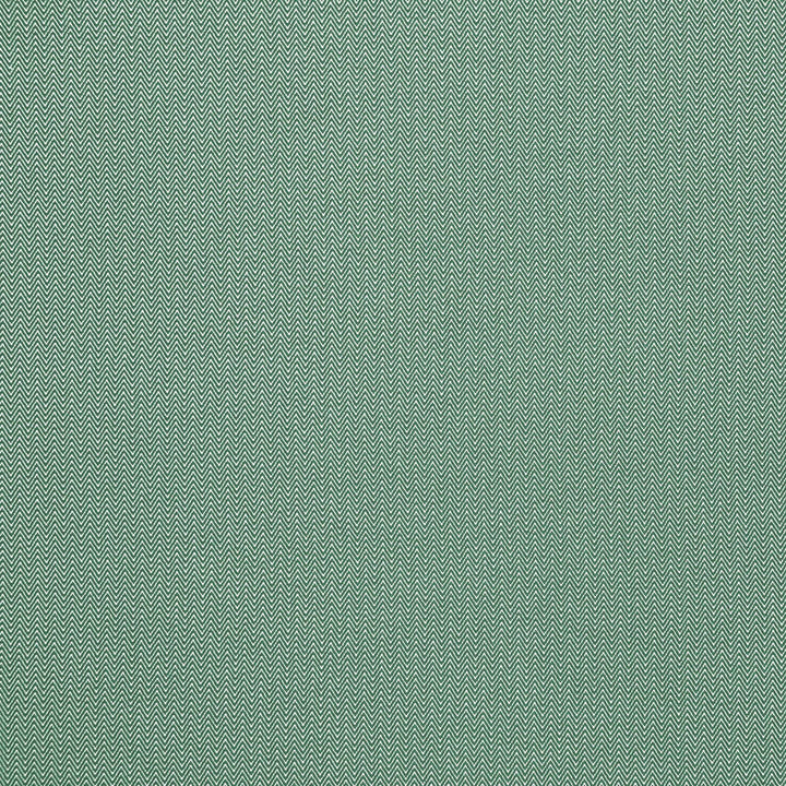 Donald Verde by Gaston Y Daniela Designer Fabric GASTON AFRICALIA POLYPROPYLENE - 100% Belgium HEAVY Horizontal: 0.24 and Vertical: 0.67 61 - Swanky Fabrics -