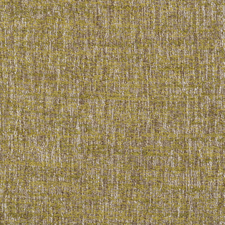 Telar Lima by Gaston Y Daniela Fabric GASTON LIBRERIA ACRYLIC - 44%;POLYESTER - 21%;VISCOSE - 21%;COTTON - 13%;LINEN - 1% Turkey HEAVY Horizontal: 0 and Vertical: 0 55 - Fabric Carolina -