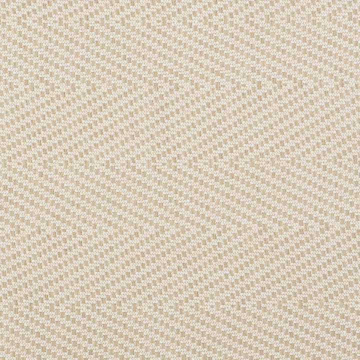 Gran Espiga Blanco by Gaston Y Daniela Fabric GASTON LIBRERIA POLYOLEFIN FR - 100% Italy HEAVY Horizontal: 4.72 and Vertical: 0.66 55 - Fabric Carolina -