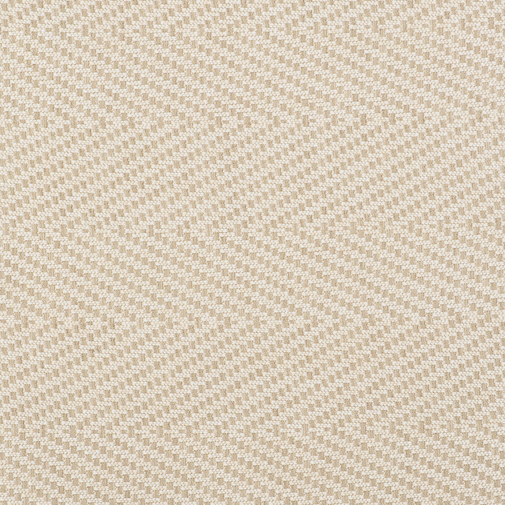 Gran Espiga Blanco by Gaston Y Daniela Fabric GASTON LIBRERIA POLYOLEFIN FR - 100% Italy HEAVY Horizontal: 4.72 and Vertical: 0.66 55 - Fabric Carolina -