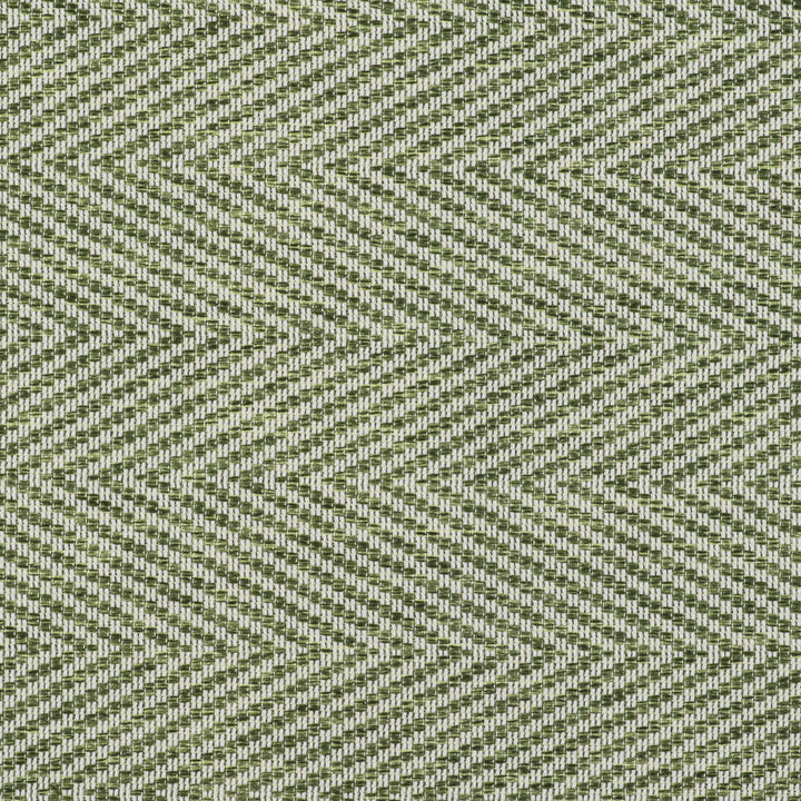 Gran Espiga Verde by Gaston Y Daniela Fabric GASTON LIBRERIA POLYOLEFIN FR - 100% Italy HEAVY Horizontal: 4.72 and Vertical: 0.66 55 - Fabric Carolina -