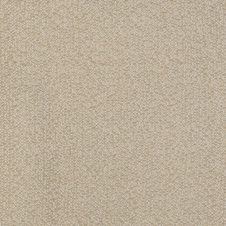In Crudo by Gaston Y Daniela Fabric GASTON LIBRERIA POLYOLEFIN FR - 100% Spain HEAVY Horizontal: - and Vertical: - 55 - Fabric Carolina -