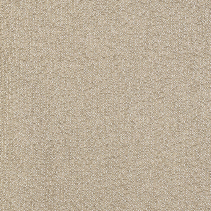 In Crudo by Gaston Y Daniela Designer Fabric GASTON LIBRERIA POLYOLEFIN FR - 100% Spain HEAVY Horizontal: - and Vertical: - 55 - Swanky Fabrics -