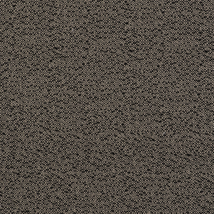 In Lino/Negro by Gaston Y Daniela Designer Fabric GASTON LIBRERIA POLYOLEFIN FR - 100% Spain HEAVY Horizontal: 0 and Vertical: 0 55 - Swanky Fabrics -