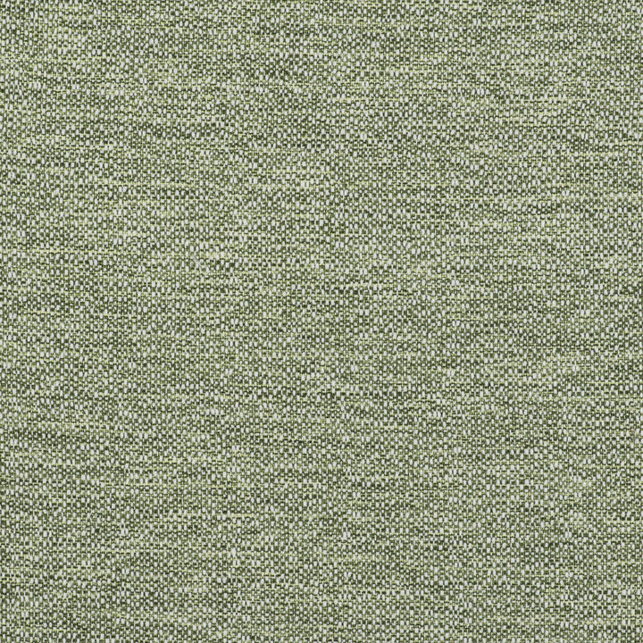 In Verde by Gaston Y Daniela Fabric Gaston Y Daniela Fabric In VerdeFabric GASTON LIBRERIA POLYOLEFIN FR - 100% Spain </p><p>Repeat: H: 0, V: 0 55 - Fabric Carolina -
