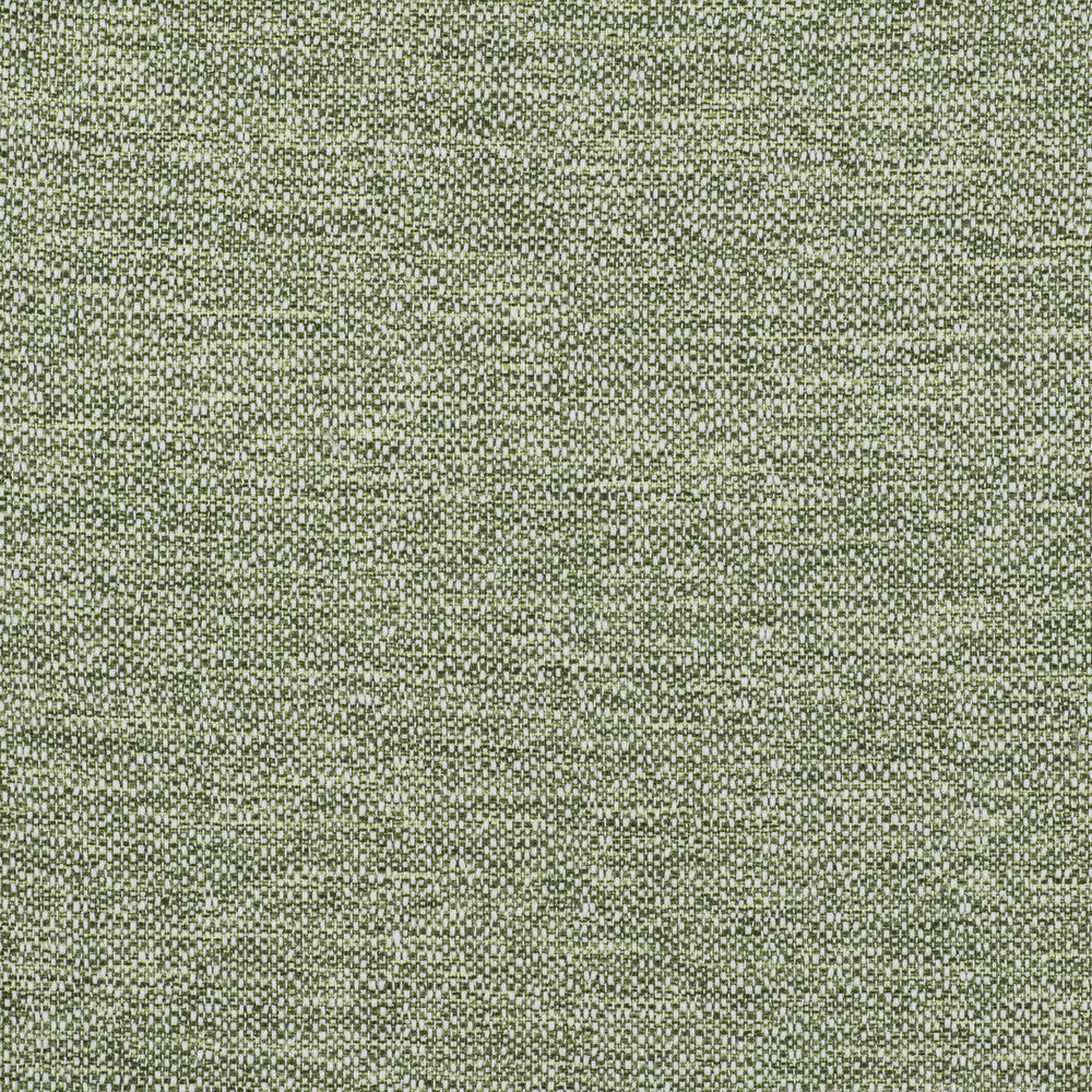 In Verde by Gaston Y Daniela Fabric GASTON LIBRERIA POLYOLEFIN FR - 100% Spain HEAVY Horizontal: 0 and Vertical: 0 55 - Fabric Carolina -