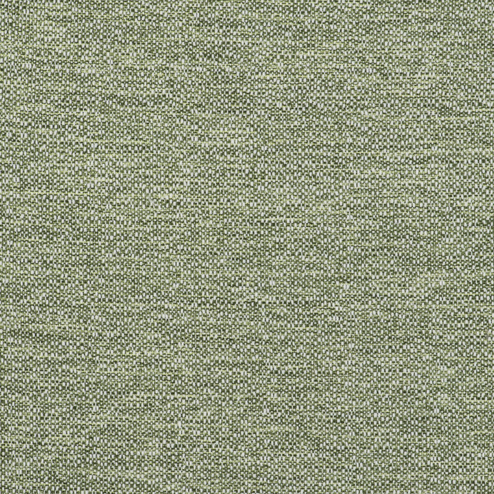 In Verde by Gaston Y Daniela Fabric Gaston Y Daniela Fabric In VerdeFabric GASTON LIBRERIA POLYOLEFIN FR - 100% Spain </p><p>Repeat: H: 0, V: 0 55 - Fabric Carolina -
