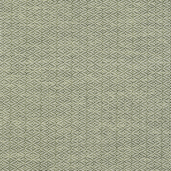Rombos Verde by Gaston Y Daniela Fabric GASTON LIBRERIA POLYOLEFIN FR - 100% Spain HEAVY Horizontal: 0.59 and Vertical: 1.02 55 - Fabric Carolina -