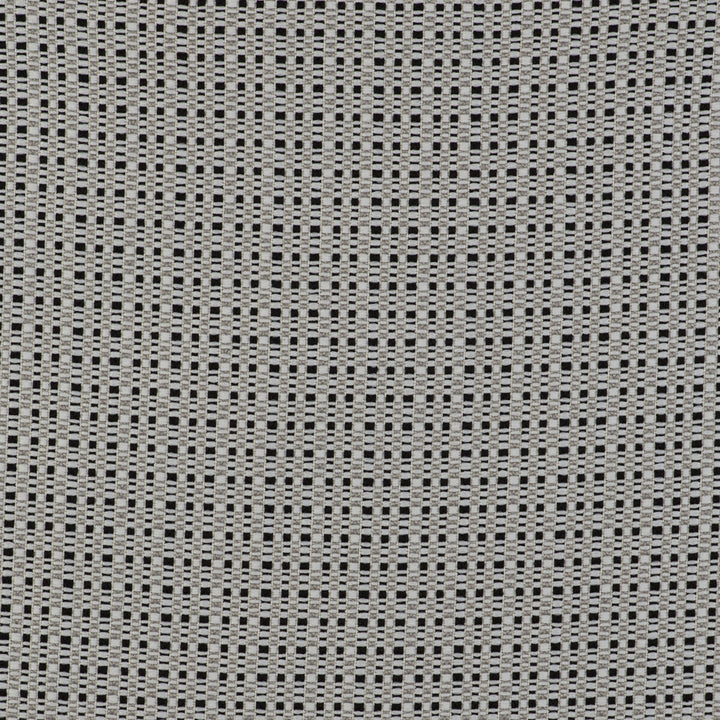 Out Blanco/Negro by Gaston Y Daniela Fabric GASTON LIBRERIA POLYOLEFIN FR - 100% Italy HEAVY Horizontal: 0 and Vertical: 0 55 - Fabric Carolina -
