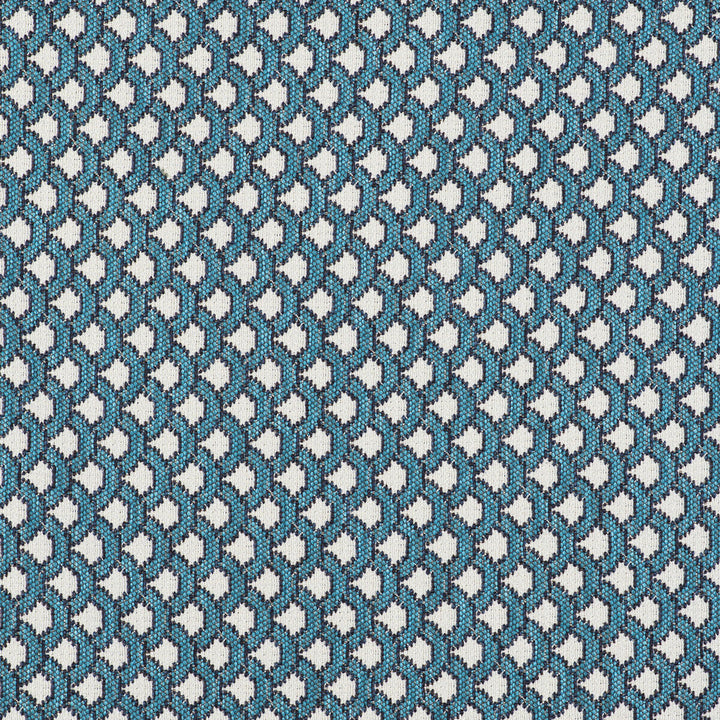 Ondas Azul by Gaston Y Daniela Designer Fabric GASTON LIBRERIA POLYOLEFIN FR - 69%;POLYESTER FR - 31% Italy HEAVY Horizontal: 0.98 and Vertical: 0.79 55 - Swanky Fabrics -
