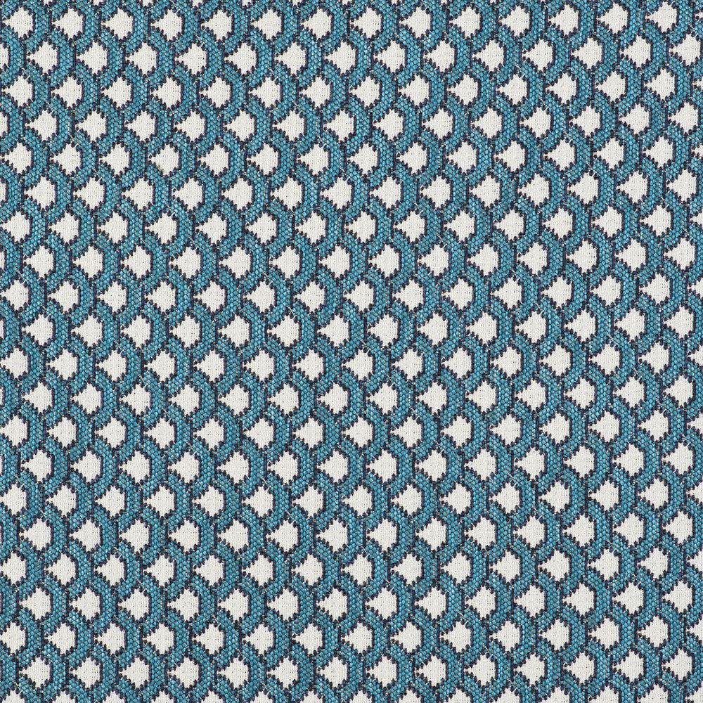 Ondas Azul by Gaston Y Daniela Fabric GASTON LIBRERIA POLYOLEFIN FR - 69%;POLYESTER FR - 31% Italy HEAVY Horizontal: 0.98 and Vertical: 0.79 55 - Fabric Carolina -