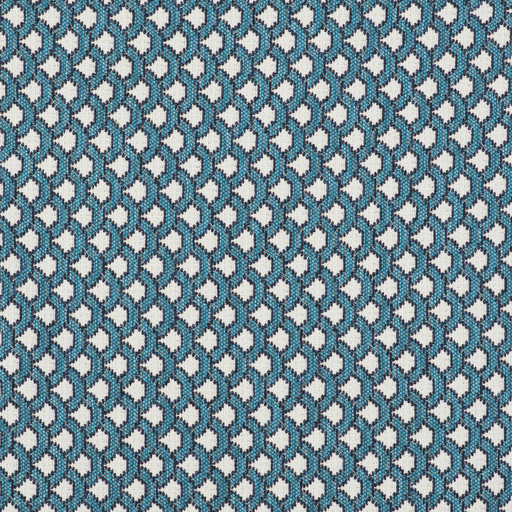 Ondas Azul by Gaston Y Daniela Fabric GASTON LIBRERIA POLYOLEFIN FR - 69%;POLYESTER FR - 31% Italy HEAVY Horizontal: 0.98 and Vertical: 0.79 55 - Fabric Carolina -