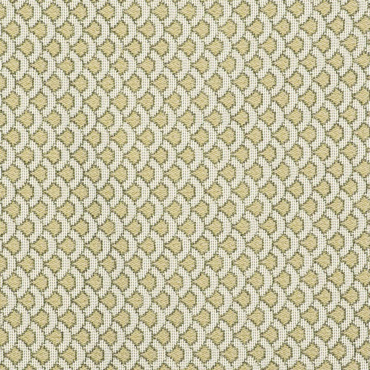 Ondas Verde by Gaston Y Daniela Fabric GASTON LIBRERIA POLYOLEFIN FR - 69%;POLYESTER FR - 31% Italy HEAVY Horizontal: 0.98 and Vertical: 0.79 55 - Fabric Carolina -