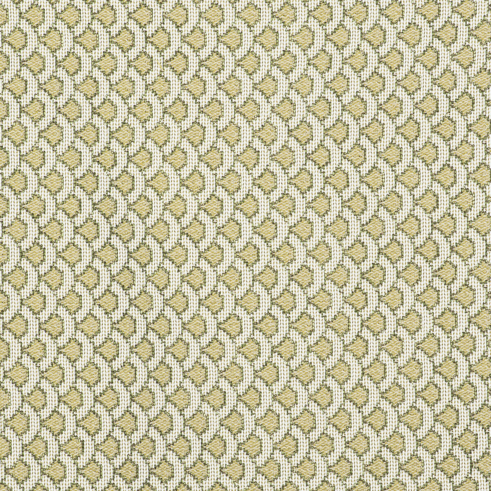 Ondas Verde by Gaston Y Daniela Fabric GASTON LIBRERIA POLYOLEFIN FR - 69%;POLYESTER FR - 31% Italy HEAVY Horizontal: 0.98 and Vertical: 0.79 55 - Fabric Carolina -