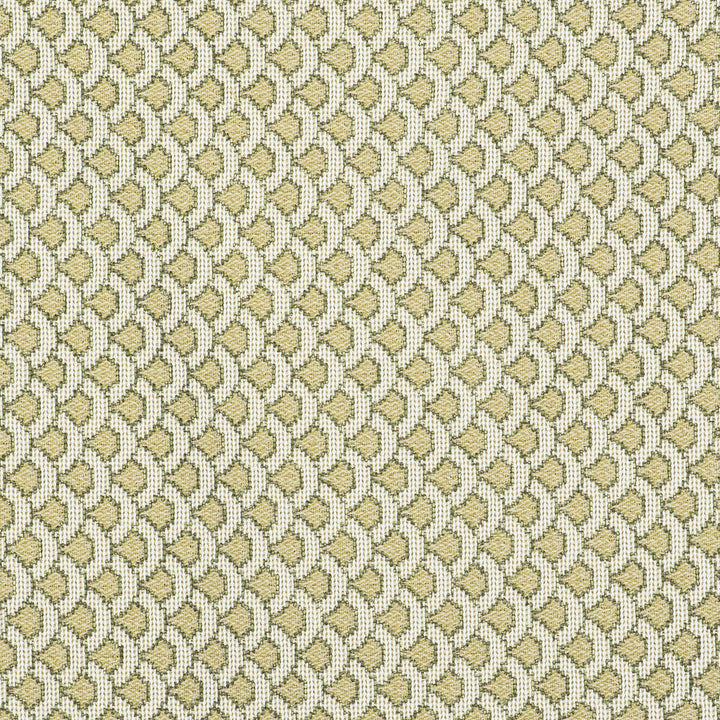 Ondas Verde by Gaston Y Daniela Fabric Gaston Y Daniela Fabric Ondas VerdeFabric GASTON LIBRERIA POLYOLEFIN FR - 69%;POLYESTER FR - 31% Italy </p><p>Repeat: H: 0.98, V: 0.79 55 - Fabric Carolina -
