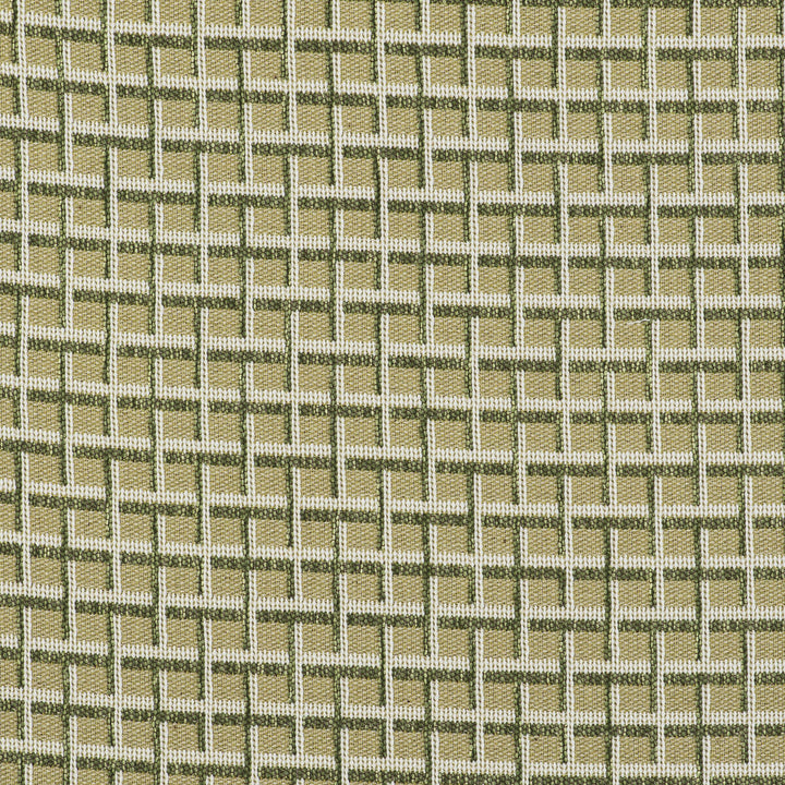 Rejas Verde by Gaston Y Daniela Fabric Gaston Y Daniela Fabric Rejas VerdeFabric GASTON LIBRERIA POLYOLEFIN FR - 69%;POLYESTER FR - 31% Italy </p><p>Repeat: H: 2.44, V: 1.42 55 - Fabric Carolina -