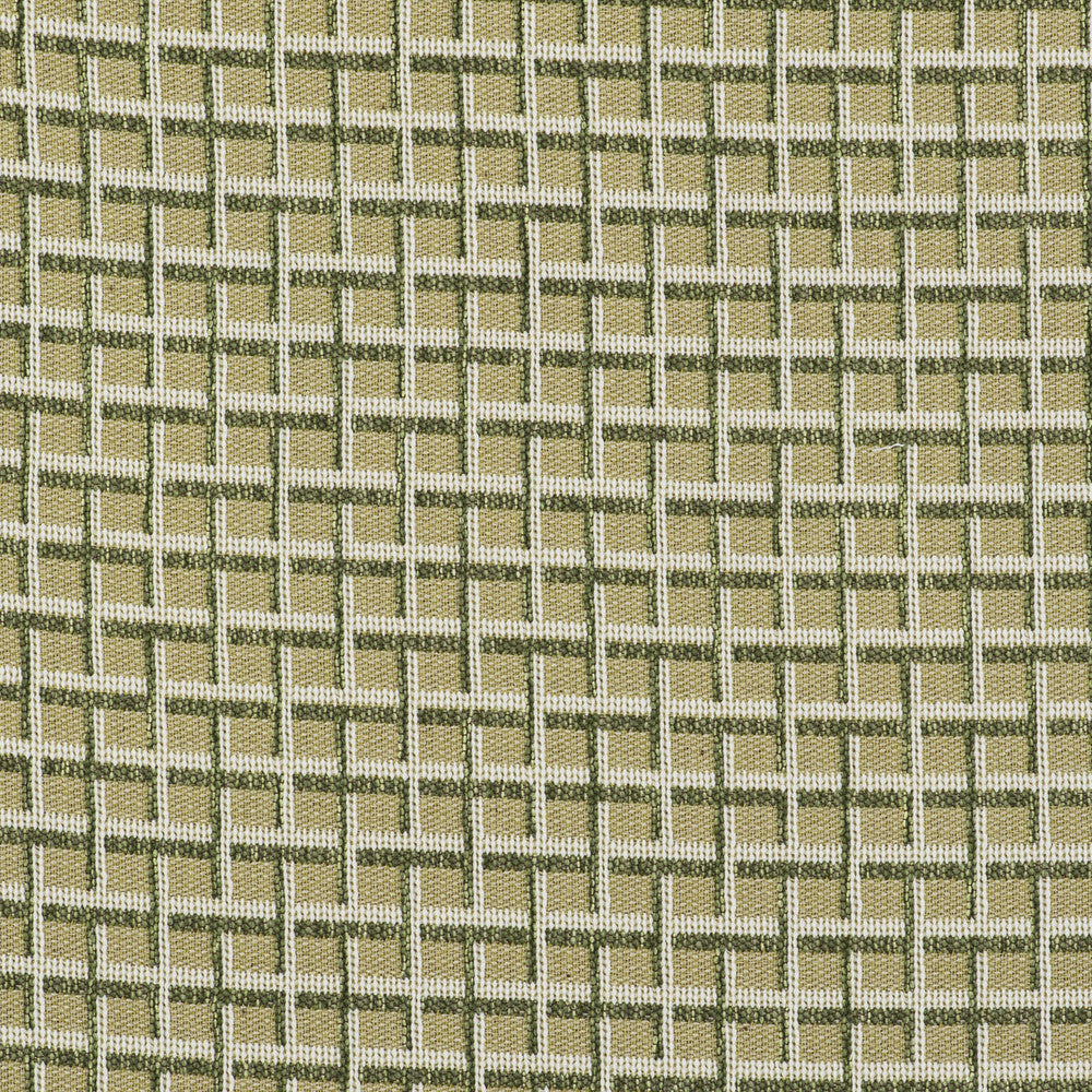 Rejas Verde by Gaston Y Daniela Fabric GASTON LIBRERIA POLYOLEFIN FR - 69%;POLYESTER FR - 31% Italy HEAVY Horizontal: 2.44 and Vertical: 1.42 55 - Fabric Carolina -