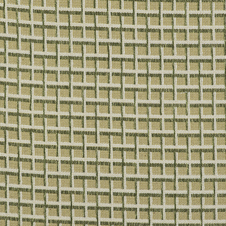 Rejas Verde by Gaston Y Daniela Fabric GASTON LIBRERIA POLYOLEFIN FR - 69%;POLYESTER FR - 31% Italy HEAVY Horizontal: 2.44 and Vertical: 1.42 55 - Fabric Carolina -