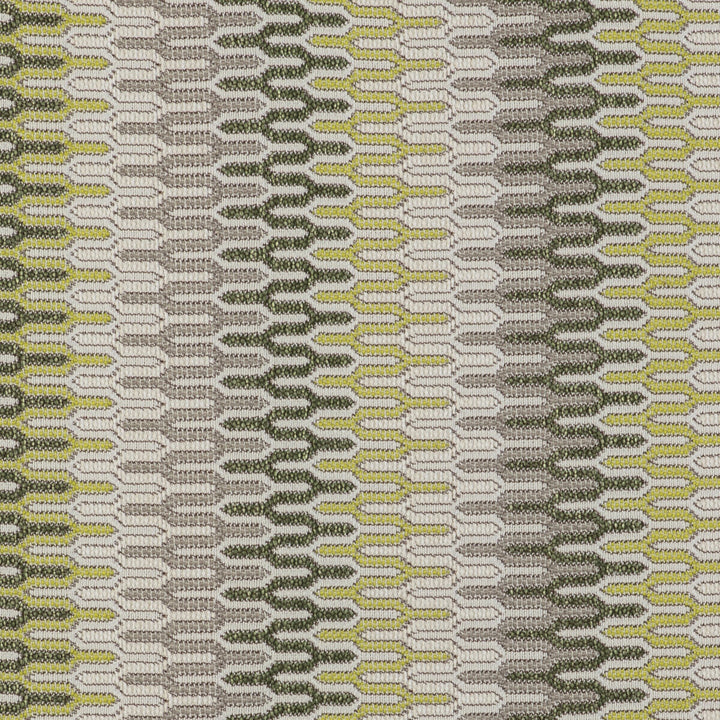 Costuras Verde by Gaston Y Daniela Fabric GASTON LIBRERIA POLYOLEFIN FR - 67%;POLYESTER FR - 33% Italy HEAVY Horizontal: 0 and Vertical: 14.38 55 - Fabric Carolina -