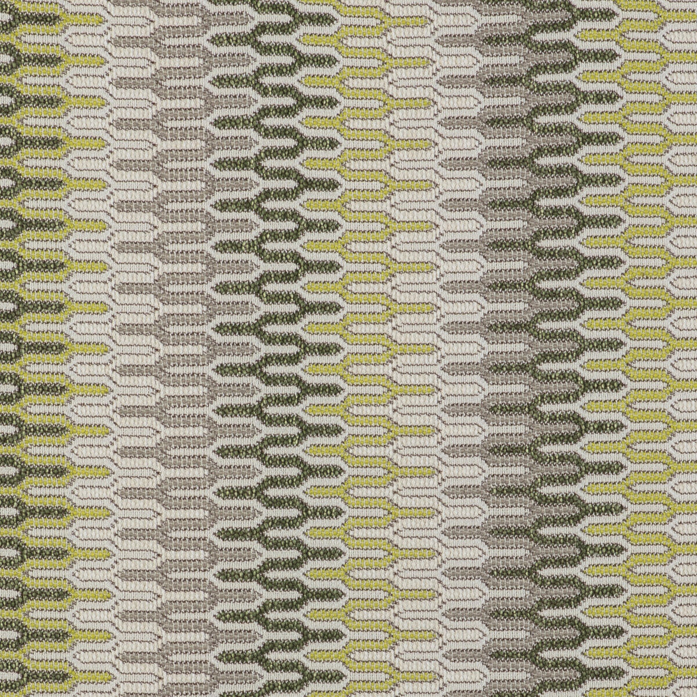 Costuras Verde by Gaston Y Daniela Fabric GASTON LIBRERIA POLYOLEFIN FR - 67%;POLYESTER FR - 33% Italy HEAVY Horizontal: 0 and Vertical: 14.38 55 - Fabric Carolina -