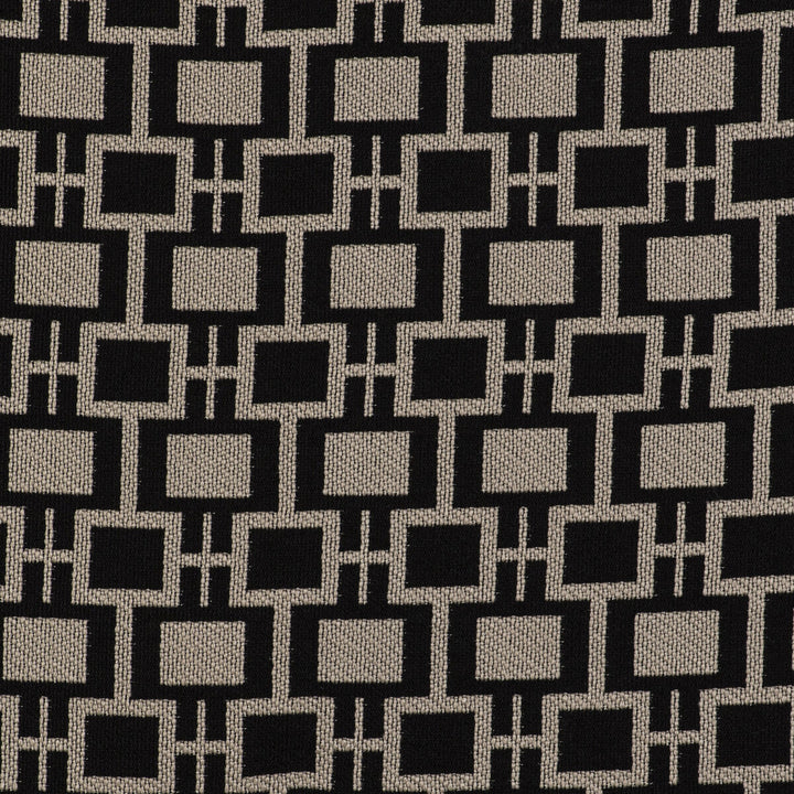 Series Lino/Negro by Gaston Y Daniela Fabric GASTON LIBRERIA POLYOLEFIN FR - 100% Italy HEAVY Horizontal: 2.75 and Vertical: 2.24 55 - Fabric Carolina -